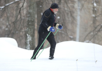 История и смысл праздника

Идея праздника принадлежит Международной федерации лыжного спорта (FIS), которая учредила его в 2012 году
