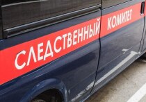 Глава СКР Александр Бастрыкин поручил челябинскому следствию доложить ему о ходе расследования дела и по доводам публикаций в медиапространстве о насилии над третьеклассником