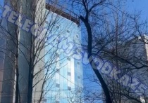 Мирная жизнь жителей Владивостока сегодня потрясла неожиданная и тревожная новость - на Первой речке подросток, доведенный до отчаяния, забрался на крышу высотного дома