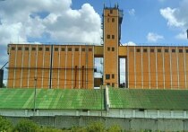 Число резидентов особой зоны в 2025 году достигло 79 участников