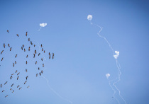 На Украине новый масштабный проект - «антидроновый купол»