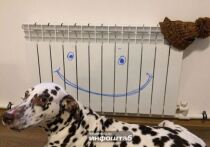 Работа тепловой магистрали на улице 2-я Дербентская полностью восстановлена и переведена на штатную схему