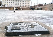 В Екатеринбурге завершились поиски 10-летнего Семена, который пропал 21 января