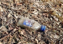 В Свердловской области за прошедшую неделю, с 12 по 19 января, увеличились цены на большинство продуктов питания, стоимость которых отлеживают специалисты Свердловскстата