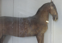 Из какого вида сосны сделан конь Петра I, а может, это и не конь вовсе, а кобыла? Три верных друга самодержца – лошадь Лизетта, собака Лизетта и пес Тиран, чучела которых находятся в Зоологическом музее Санкт-Петербурга, впервые подверглись рентгенологическому исследованию