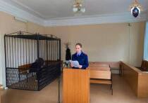 Житель Козьмодемьянска признан виновным в причинении тяжкого вреда здоровью и покушении на убийство.