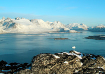 Ученые выявили под ледяным покровом Гренландии скрытую геологическую уязвимость, которая может ускорить его разрушение и осложнить амбициозные планы президента США на эту часть Арктики