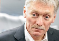 Пресс-секретарь президента России Дмитрий Песков заявил, что ключевые элементы так называемой формулы Анкориджа имеют принципиальное значение для Российской Федерации