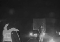 Омские полицейские обеспечили безопасность на трассе, где водитель из Марий Эл из-за поломки фуры развел костер.