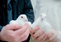 Помолвленные пары начинают готовиться к свадьбе обычно за год, а то и больше