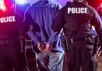 Жуткая парочка из американского штата Миссури была, наконец, задержана полицией