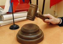 14-летний подросток из Тверской области приговорен к семи годам лишения свободы в воспитательной колонии