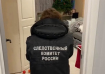 Стали известны новые подробности криминальной драмы в подмосковном Сергиевом Посаде, где 27 января 27-летний мужчина убил свою сожительницу, тяжело ранил соседку, а потом покончил с собой