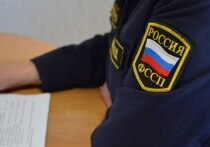Жительница Наримановского района Астраханской области привлекла внимание судебных приставов из-за крупной задолженности по штрафам за нарушения правил дорожного движения