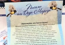 В 2025 году сотрудники Почты России доставили Деду Морозу в Великий Устюг около 12 тысяч писем от жителей Свердловской области
