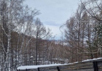 В Красноярске в скором времени может появиться новая спортивно-развлекательная услуга