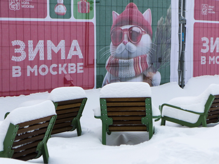 Москва пережила самый морозный день с начала зимы