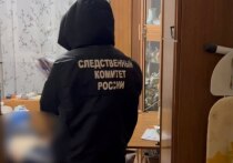 В Невском районе Санкт-Петербурга произошла семейная трагедия. Муж выстрелил из ружья в жену. Об этом сообщает пресс-служба Главного следственного управления СК России по Санкт-Петербургу.