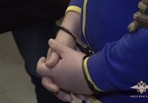 Полиция задержала организованную группу, подозреваемую в мошенничестве с недвижимостью. Трое уже ранее судимых жителей Выборгского района Ленобласти находили граждан, ведущих асоциальный образ жизни, и обманывали их, используя схему «черных риэлторов». Об этом в своем Telegram-канале сообщила Ирина Волк, официальный представитель МВД России.