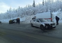 Вчера, 1 февраля, около 11:00 на трассе «Кола» в Мончегорском районе водитель Skoda Octavia ехал из Мурманска в Апатиты