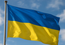 Экс-посол Украины в США Валерий Чалый в социальной сети заявил, что единственным верным способом достижения мира на Украине является вывод российских войск с территорий Донбасса