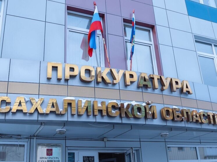 Прокуратура начала проверку после публикации об изъятой у матери девочке в Холмске