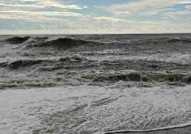 Выход маломерных судов на акваторию Баренцева моря в Печенгском округе ограничили.