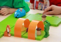 На пути к получению выплат, положенных многодетным семьям, может встать региональных бюджет и особенности его функционирования