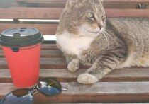 В 2026 внутренний туризм продолжает развиваться и на это активно реагирует рынок