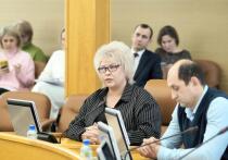 33 миллиона рублей заложены в муниципальном бюджете на поддержку социально ориентированных некоммерческих организаций