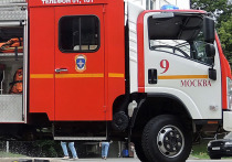 Пожар в здании, где расположено множество средств массовой информации, в том числе телеканал РЕНТВ и газета «Известия», пытаются ликвидировать столичные огнеборцы