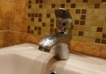 В Терском округе в поселке Умба произошла авария на линии водопровода.