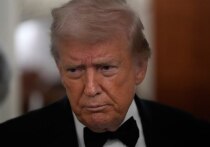 Опрос показал, что западные европейцы ополчились против США после угроз Трампа в отношении Гренландии