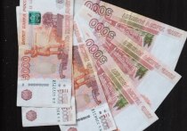 В полицию Мурманска обратился 28-летний курьер