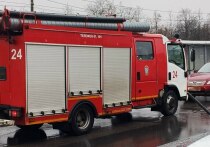 В 12 утра в Красносельском районе на 77-м километре внешнего кольца загорелся грузовик. Его кабина выгорела по всей площади, сообщает пресс-служба МЧС Санкт-Петербурга.