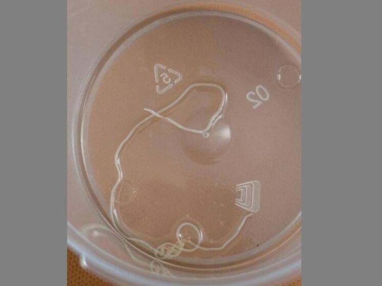 Заглянем за МКАД: чем дышит Россия сегодня? Журналисты «Московского комсомольца» в 78 регионах России внимательно следят за всем, что происходит в стране – от громких происшествий до повседневных проблем и радостей