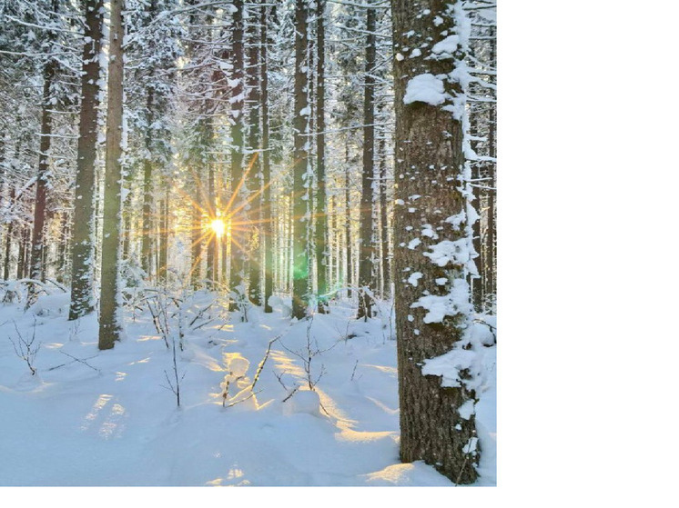 Синоптики дади прогноз погоды на сегодня, 8 февраля