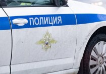 В Мурманске полицейские задержали мужчину за грабеж в гипермаркете на улице Радищева.