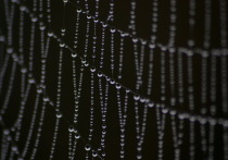 Сотрудники Нью-Йоркского университета создали нечто, что звучит как научная фантастика: кристаллы, которые парят в воздухе на звуковых волнах. 