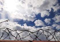 По итогам 2025 года Саратовская область вошла в число регионов России с наибольшим количеством зарегистрированных изнасилований