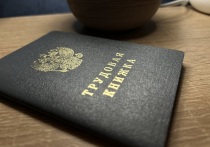 Специалисты провели консультации почти восьми тысячам жителей России из 35 разных регионов. Эти показатели на 10% превышают результат 2024 года, сообщает пресс-служба Комитета по труду и занятости населения.