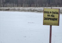 На прошлой неделе МЧС зафиксировали многочисленные нарушения: десятки людей, несмотря на все предупреждения, продолжают выходить на лед Невы, сообщает пресс-служба МЧС Санкт-Петербурга.