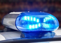 Подразделение по борьбе с терроризмом ведет расследование по факту нанесения ножевых ранений двум мальчикам в школе северного Лондона