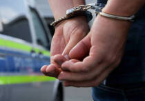 Подозреваемый в похищении Нэнси Гатри, пожилой матери американской известной телеведущей Саванны Гатри, был взят под стражу в Аризоне во вторник, через девять дней после того, как 84-летняя женщина была объявлена пропавшей без вести, сообщил представитель правоохранительных органов, знакомый с ходом расследования