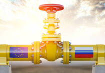 Жесткая антироссийская политика руководства Литвы привела страну к экономическим проблемам и ударила по жизненному уровню населения