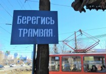 Житель Екатеринбурга потерял змею – маисового полоза – в трамвае маршрута № 15