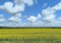 Весна уже не за горами, а вместе с ней в Пензенской области начнутся посевные работы. В этом году аграриям предстоит выйти на увеличенные площади – за последние годы в регионе их стало на десятки тысяч гектаров посевов больше.