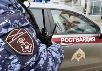 В Астрахани сотрудники вневедомственной охраны Росгвардии предотвратили незаконное проникновение в торгово-развлекательный центр на площади Вокзальная