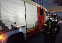 В Кандалакше ликвидировали возгорание в гараже.