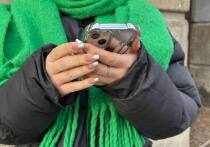 В поселке Горелово, где во времена СССР работали над созданием первого в мире лунохода, улучшили работу мобильного интернета